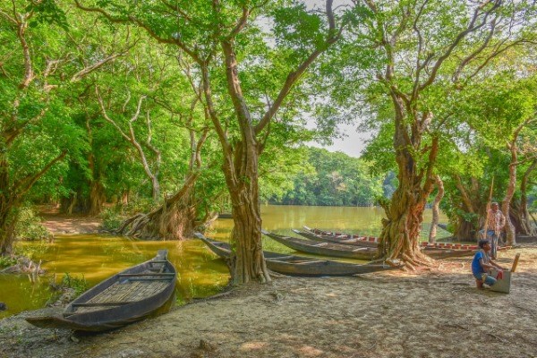 Exploring Bangladesh: Unveiling Hidden Treasures with Trusted Tour Operators