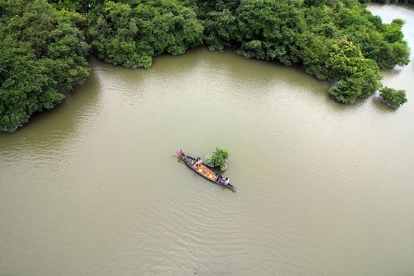 Ratargul Swamp Forest