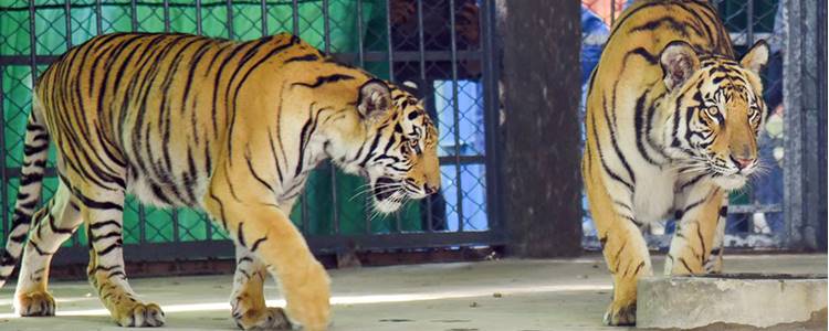 Chittagong Zoo Chittagong Zoo