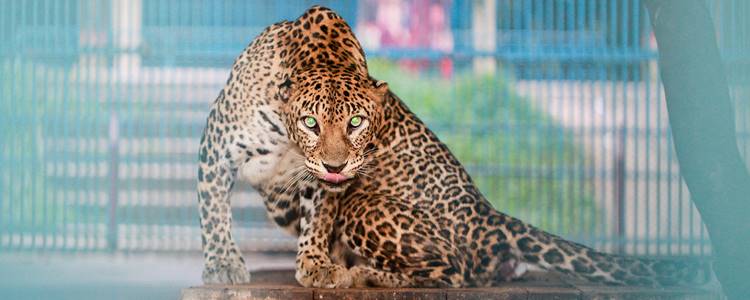 Bangladesh National Zoo