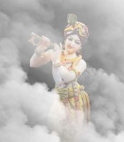 Profile photo of Shubhro Shubhro